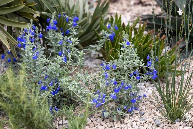 Find out more about garden design