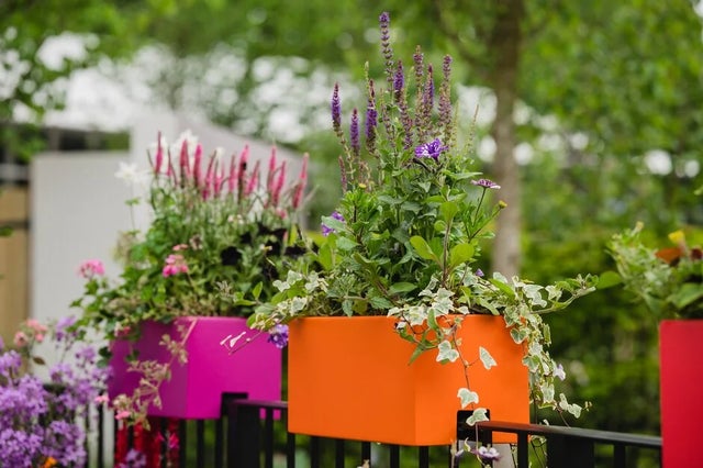 Garden design ideas