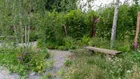 Thumbnail for slide 1
