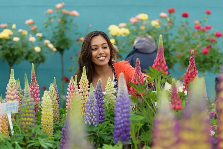 Highlights –  inspiring gardens, expert talks, food, shopping and family fun