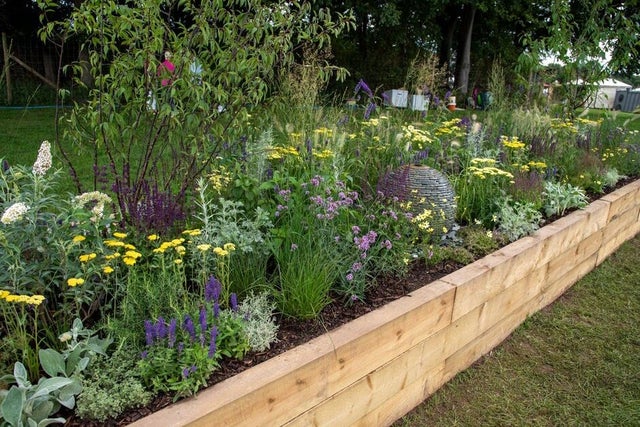 Discover the 2023 Tatton Park Long Borders