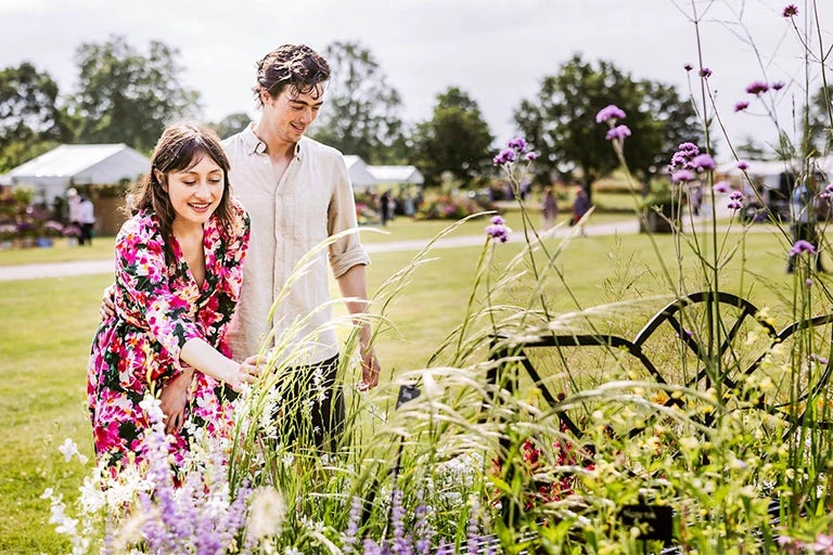 Shows, events and courses across the RHS