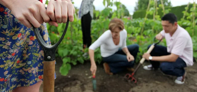 Why gardening is great exercise for your body