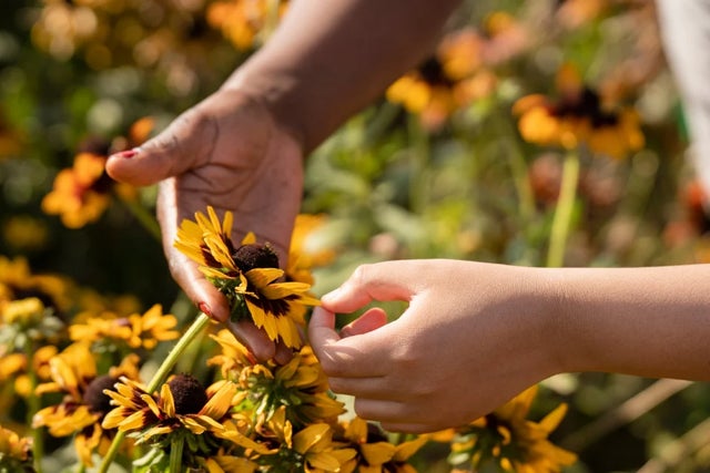 Planting for the environment