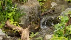Thumbnail for slide 5