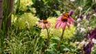 Thumbnail for slide 3