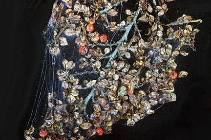 Cotoneaster webber caterpillars