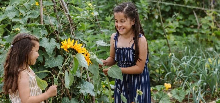 Ten plants to include in a child-friendly garden