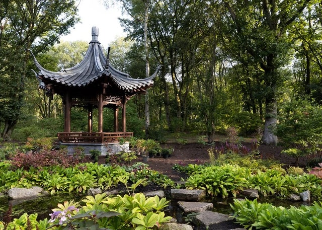 Chinese Streamside Garden