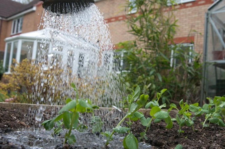 Planet-friendly gardening