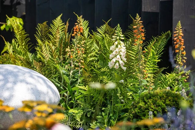 See all the gardens at RHS Tatton