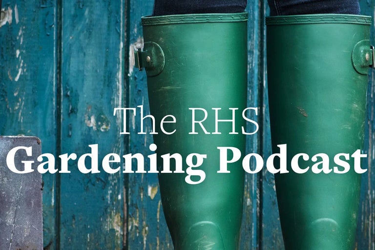 Discover RHS podcasts