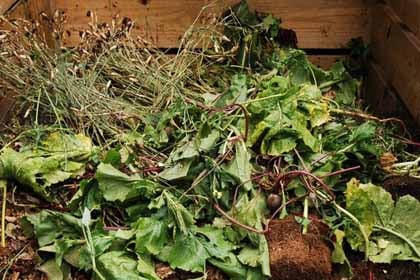 Green waste
