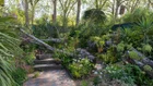 Thumbnail for slide 1