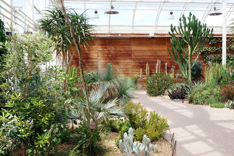 RHS Wisley’s Glasshouse