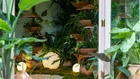 Thumbnail for slide 2