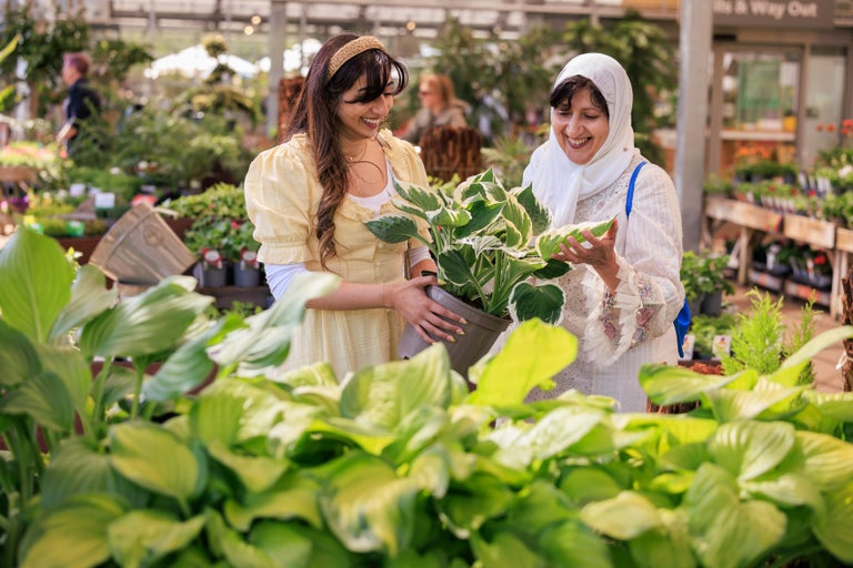 Two women in dresses holding a potted plant
