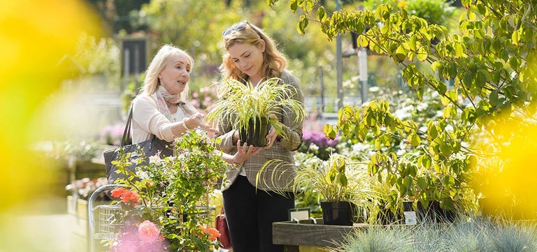 All five RHS Gardens succeed in becoming Plant Healthy certified