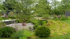 Thumbnail: A garden with trees and bushes