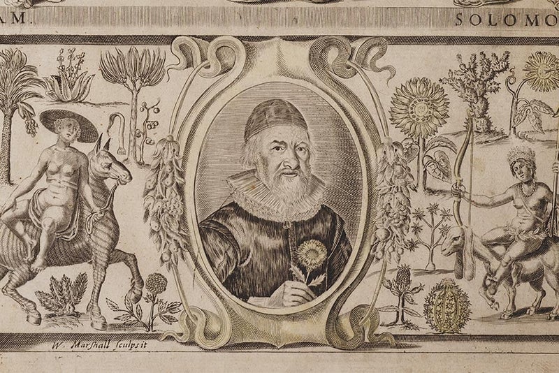 John Parkinson’s legacy