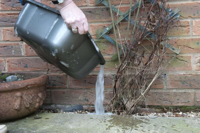 Managing water in your garden