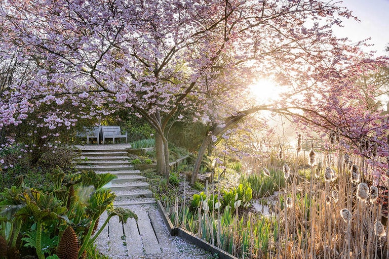 What's looking good now at Wisley