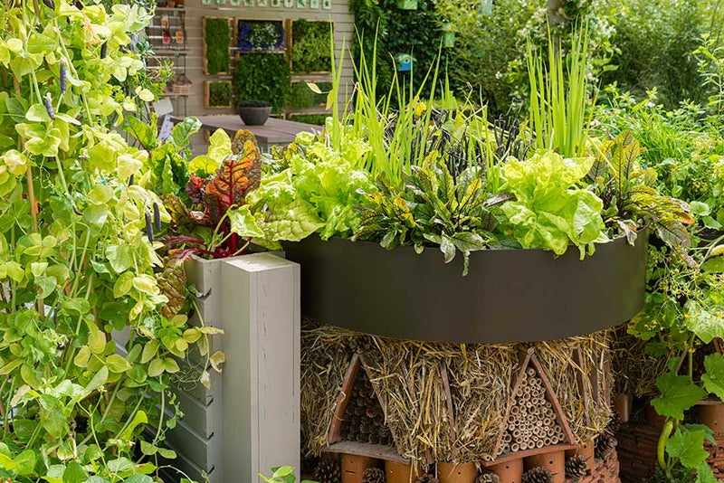 Fresh take on a herb wheel planter