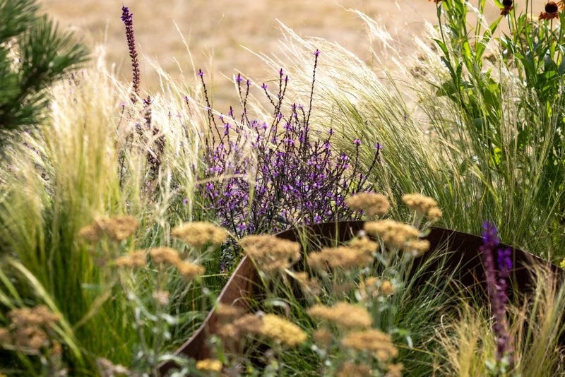 A close up of a plant