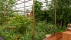 Thumbnail for slide 1