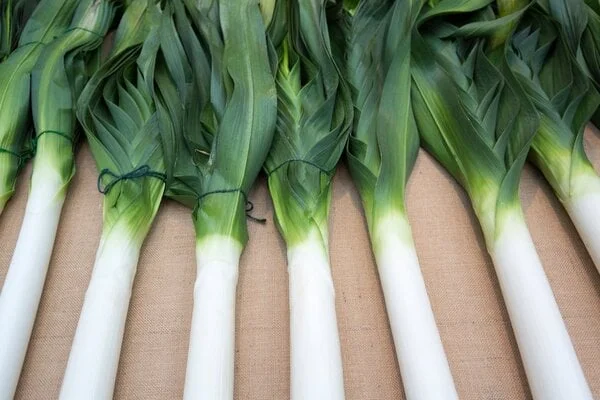 Leeks Plot How to grow Leeks | RHS Guide