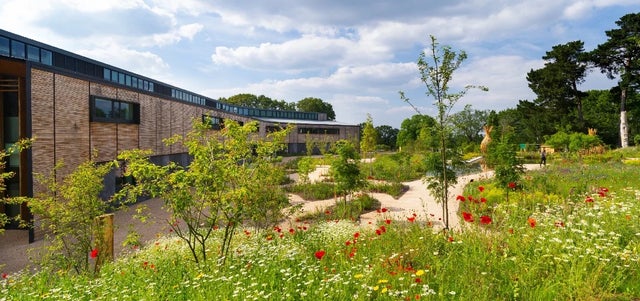 RHS Plant Biosecurity: how we safeguard our gardens