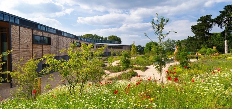 RHS Plant Biosecurity: how we safeguard our gardens
