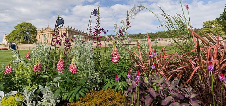 Glorious gardens to explore in the Midlands