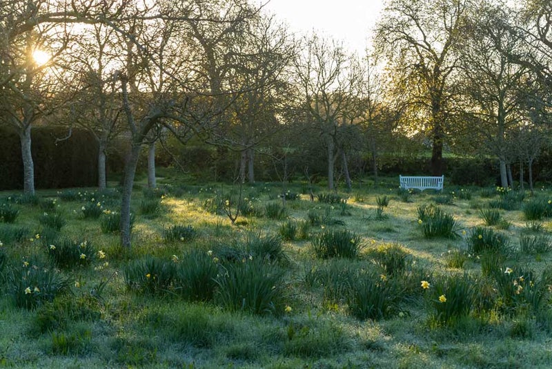 Hestercombe Gardens, Somerset
