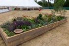 Thumbnail: The Goldcrest Garden: Restoring Habitat, Repairing Climate