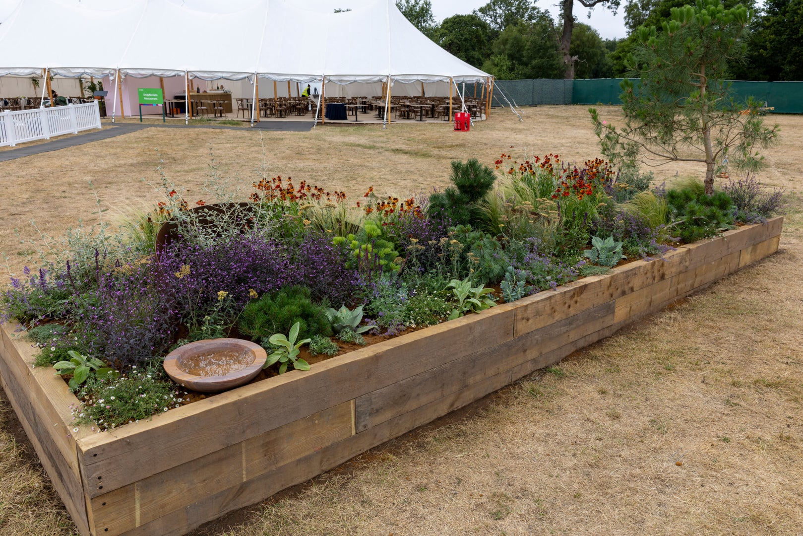 The Goldcrest Garden: Restoring Habitat, Repairing Climate