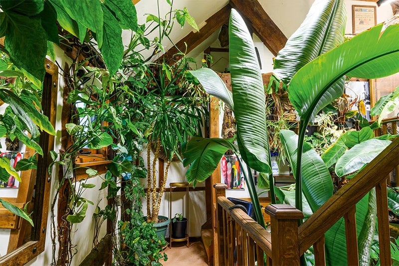 A community of green roommates
