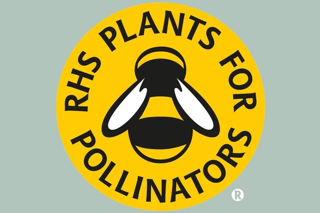 Find plants for pollinators