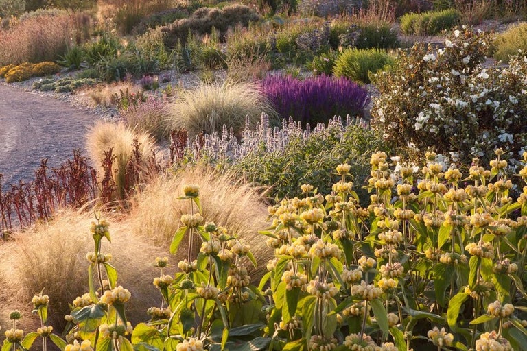 Inspiration for hot dry gardens