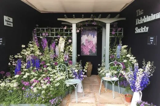 The Delphinium Society
