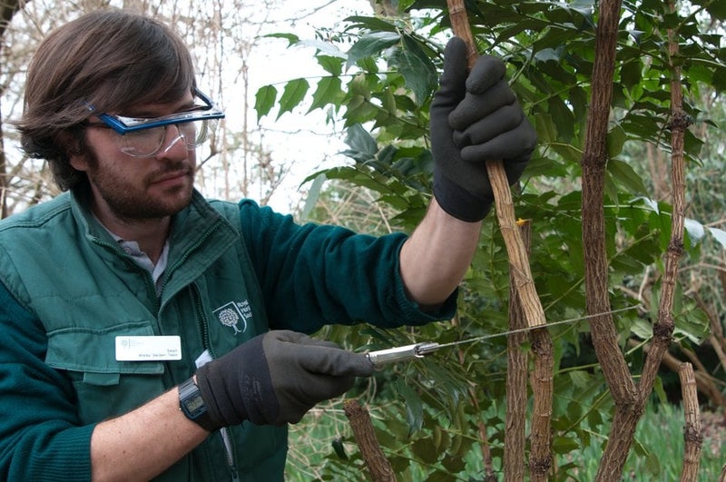 How to Garden Safely | RHS Advice