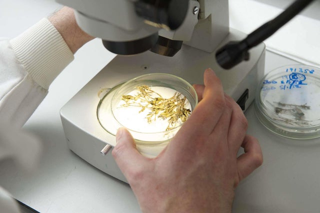 RHS Science