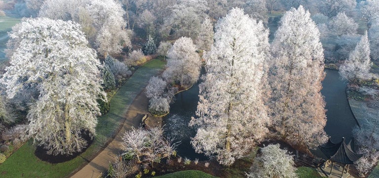RHS winter plant damage survey – findings released