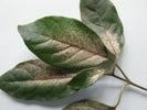 Thumbnail for slide 2