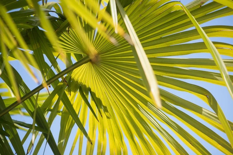 You can help fight climate change in your garden