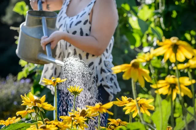 Gardening for wellbeing