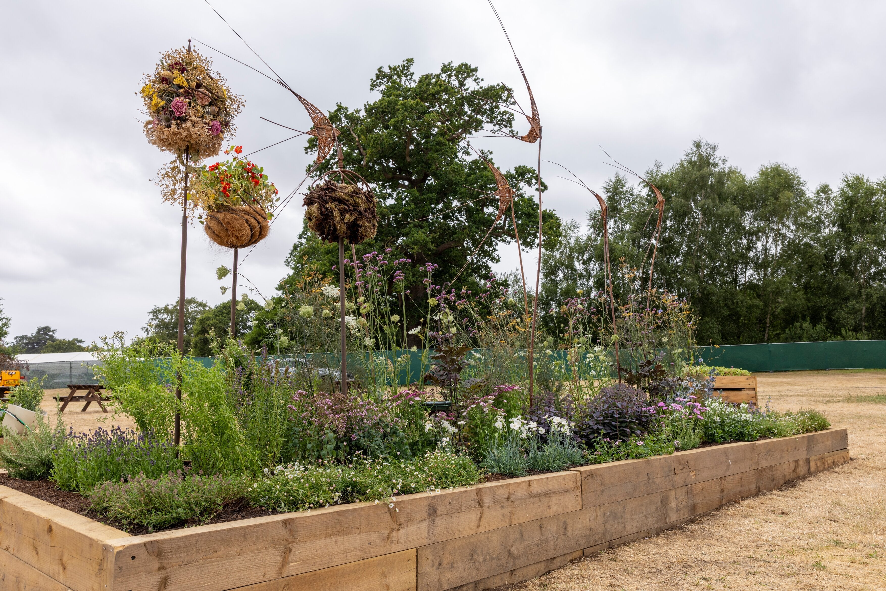 Nurture Nature – Nature Nurtures