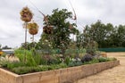 Thumbnail: Nurture Nature – Nature Nurtures