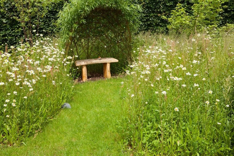 7. Let your lawn show its wild side