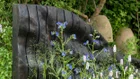 Thumbnail for slide 3